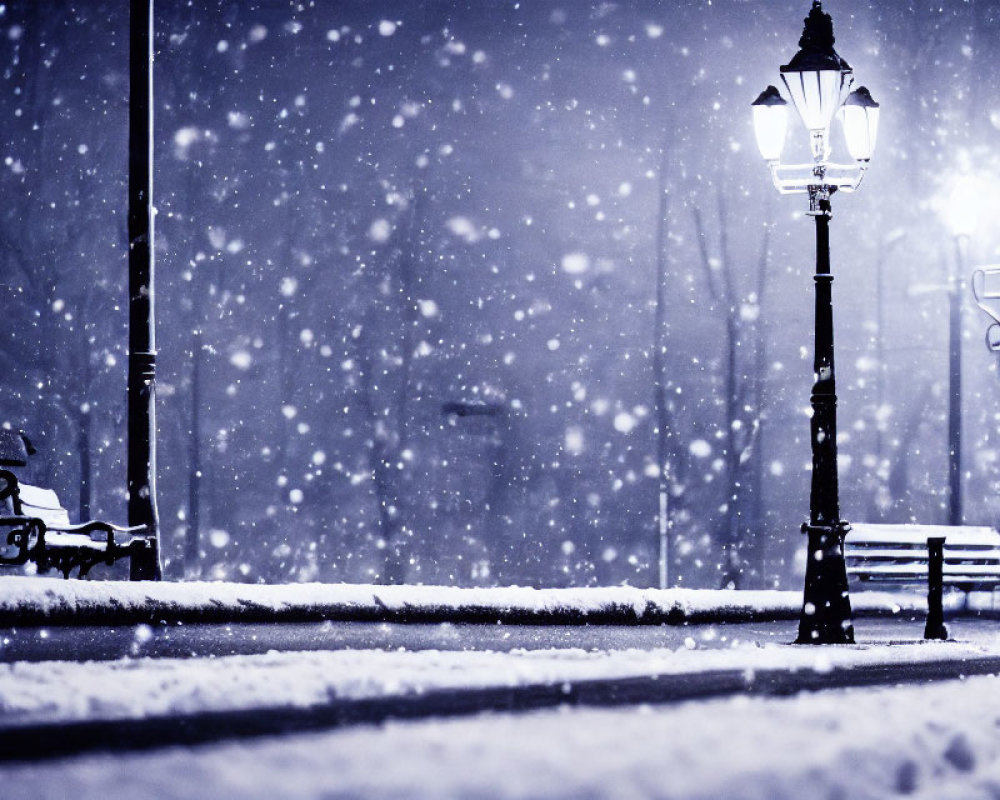 Snowy Winter Night Park Scene with Glowing Street Lamps