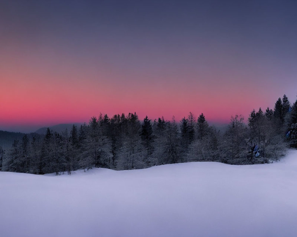 Snowy Twilight Landscape with Silhouetted Evergreen Trees