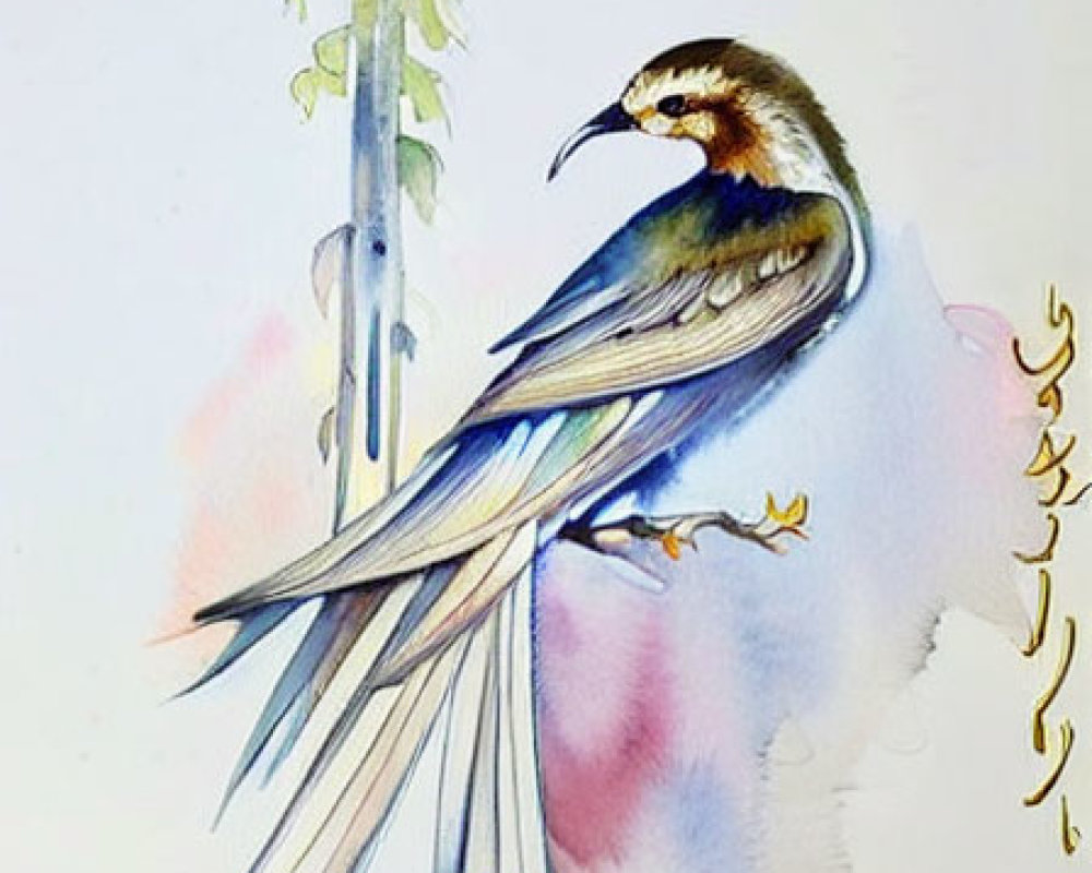 Bird watercolor illustration with blue and brown plumage on a stem
