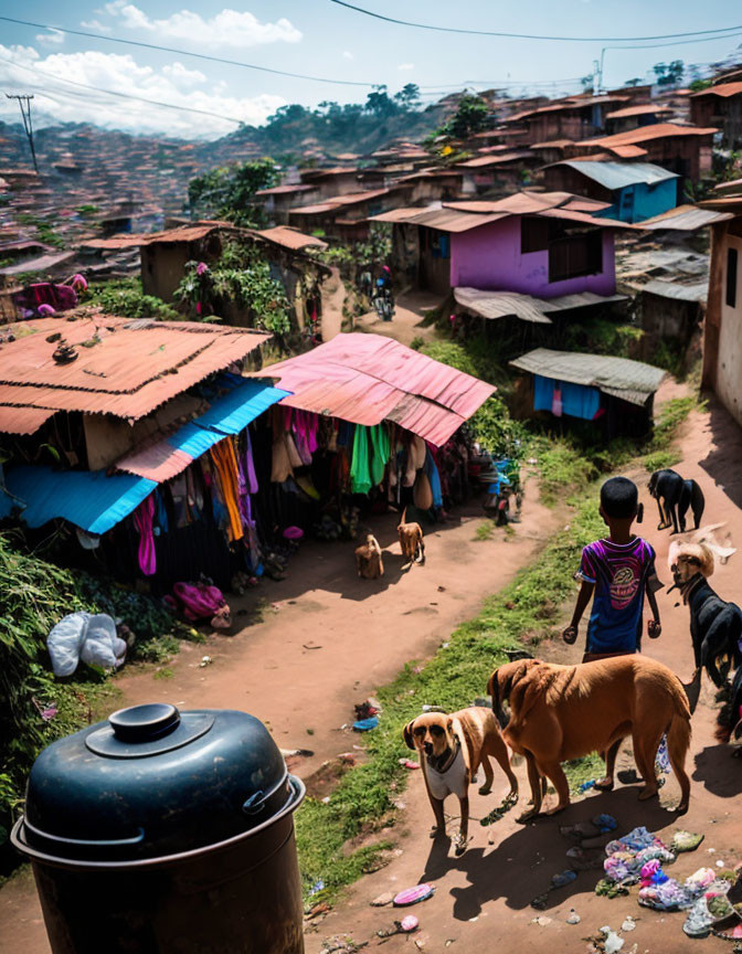 Crowded hillside slum with colorful roofs, hanging laundry, residents, and stray dogs in litter