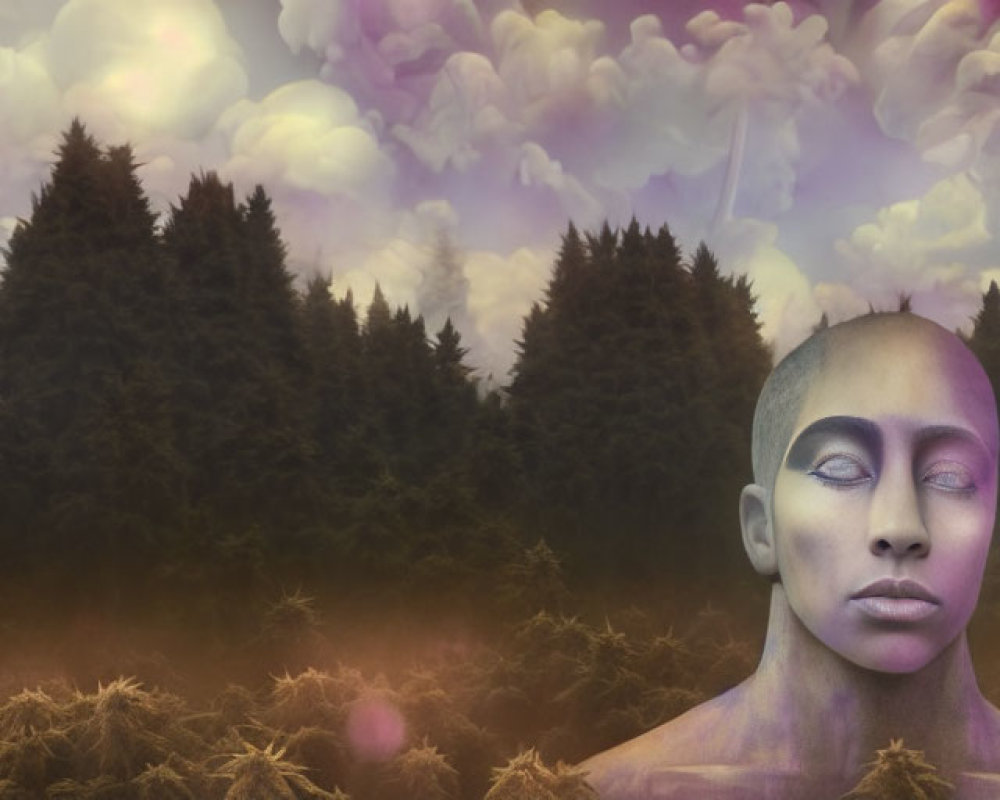 Woman's face emerges from forest under purple sky with swirling clouds