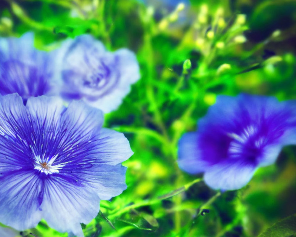 Detailed Close-Up of Vibrant Blue Flowers in Lush Green Foliage