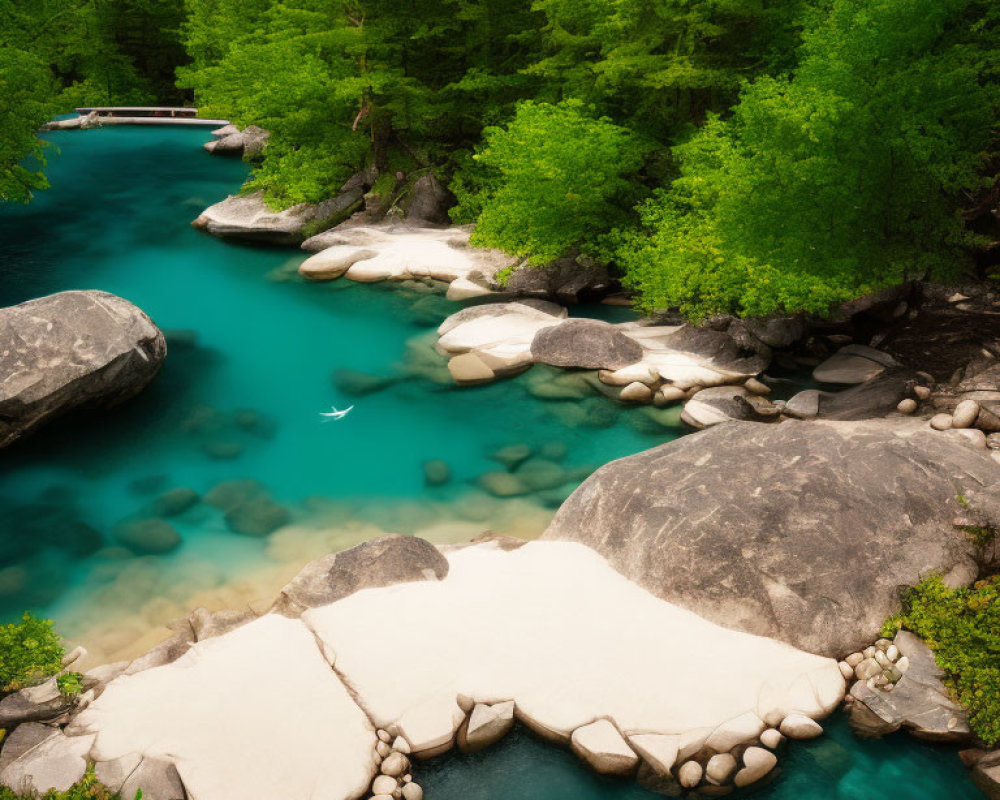 Tranquil river in forest with turquoise water, rocks, trees, and bird