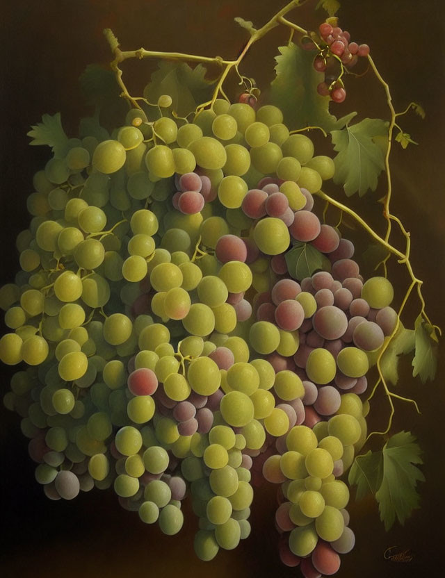 Realistic painting of green and purple grapes on vine against dark background