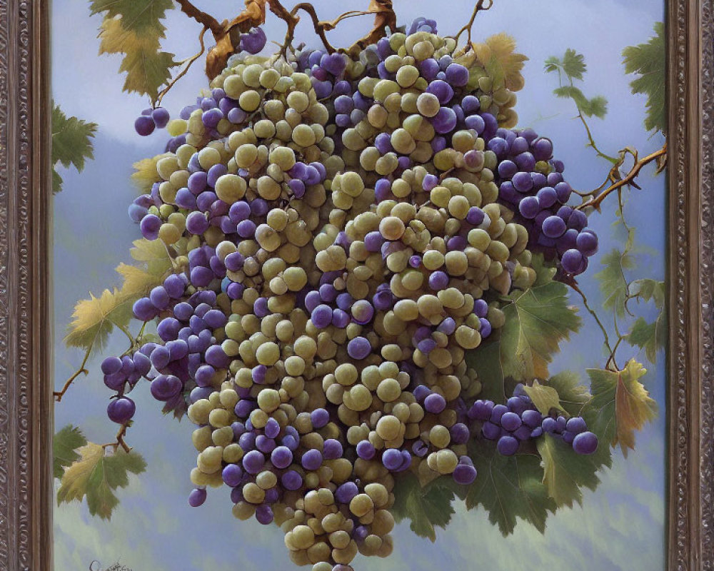 Realistic painting of green grapes with leaves and tendrils