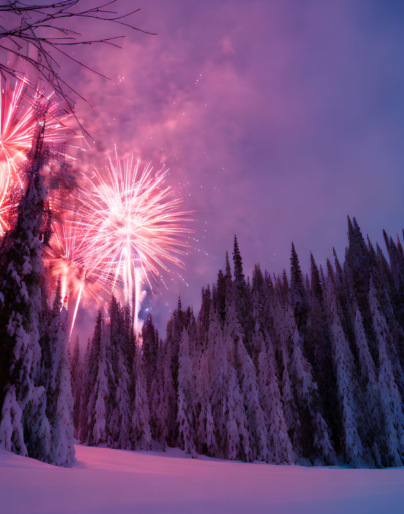 Vibrant fireworks light up purple sky over snowy pine forest