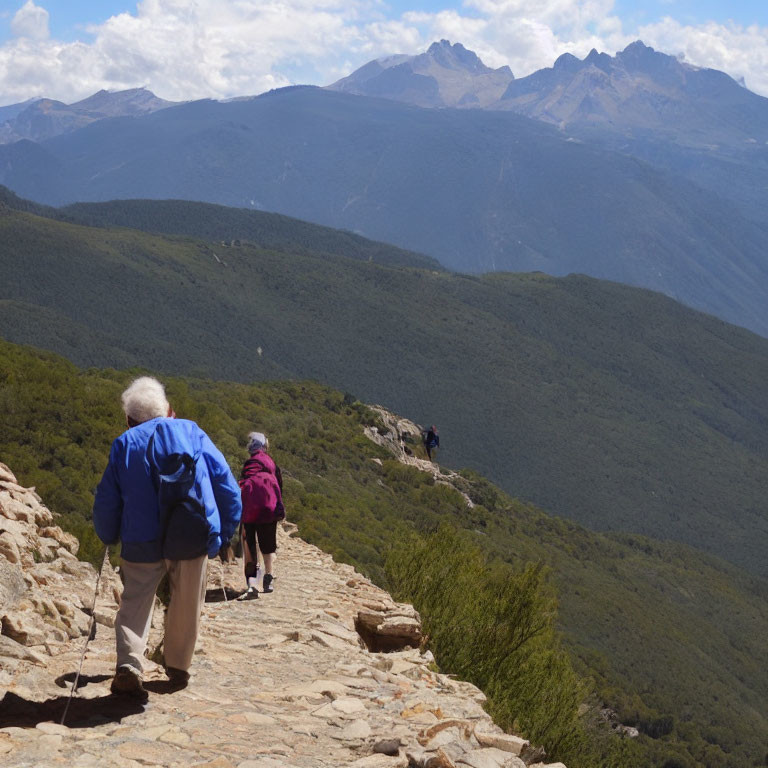 Hikers with walking sticks on rocky mountain trail amid lush green slopes