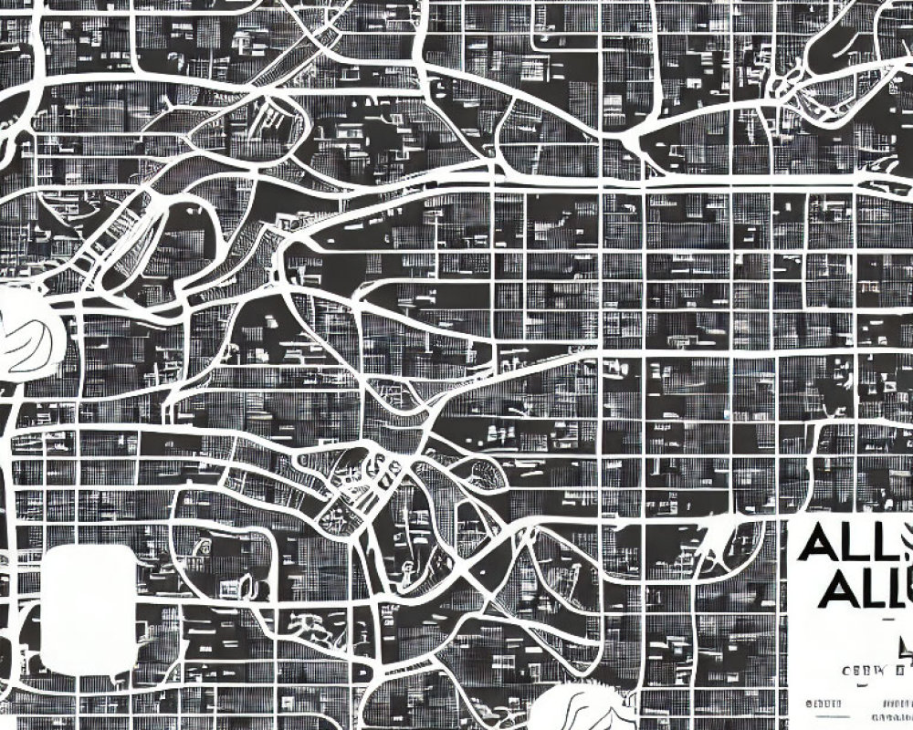Detailed Black and White City Map with Intricate Street Patterns