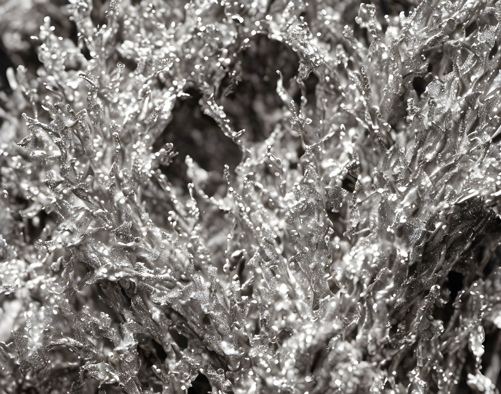 Detailed Monochromatic Close-up of Textured, Sparkling Coral-like Surface