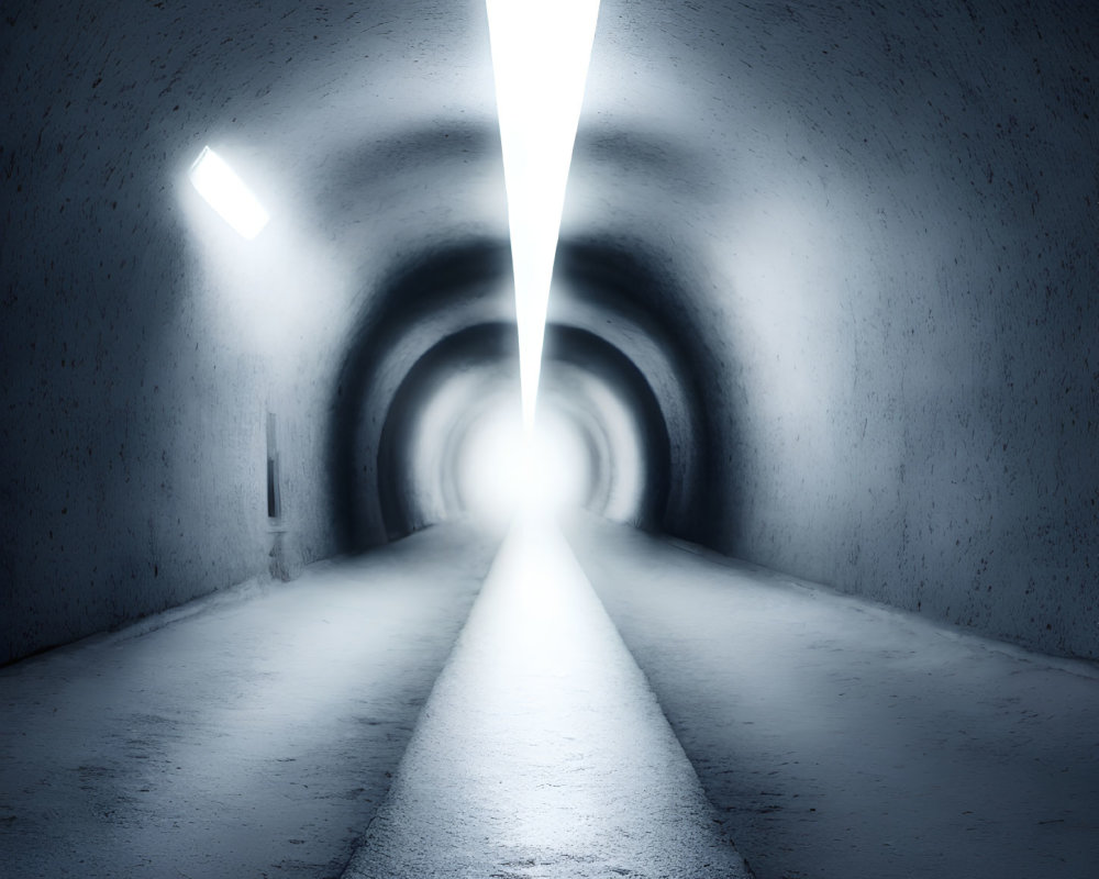 Desolate concrete tunnel with curved ceiling and intermittent lights.