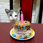 Colorful Birthday Cake with Curious Cat and Pink Candle