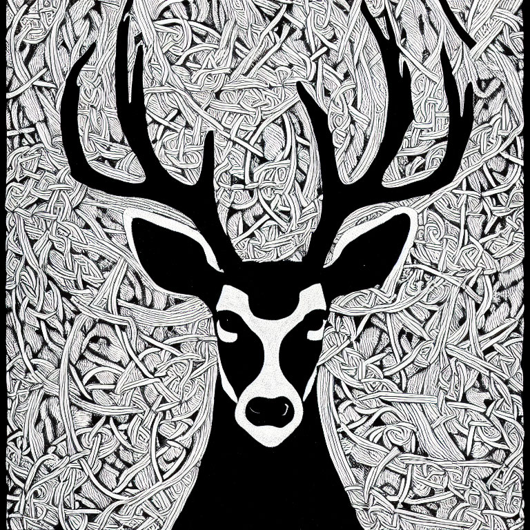 Monochrome Line Art Drawing of Stag with Intricate Antlers