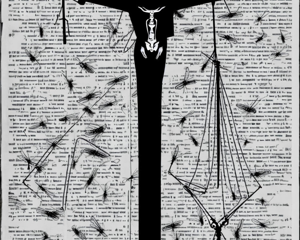 Monochrome artwork featuring scales of justice, text, and dragonflies