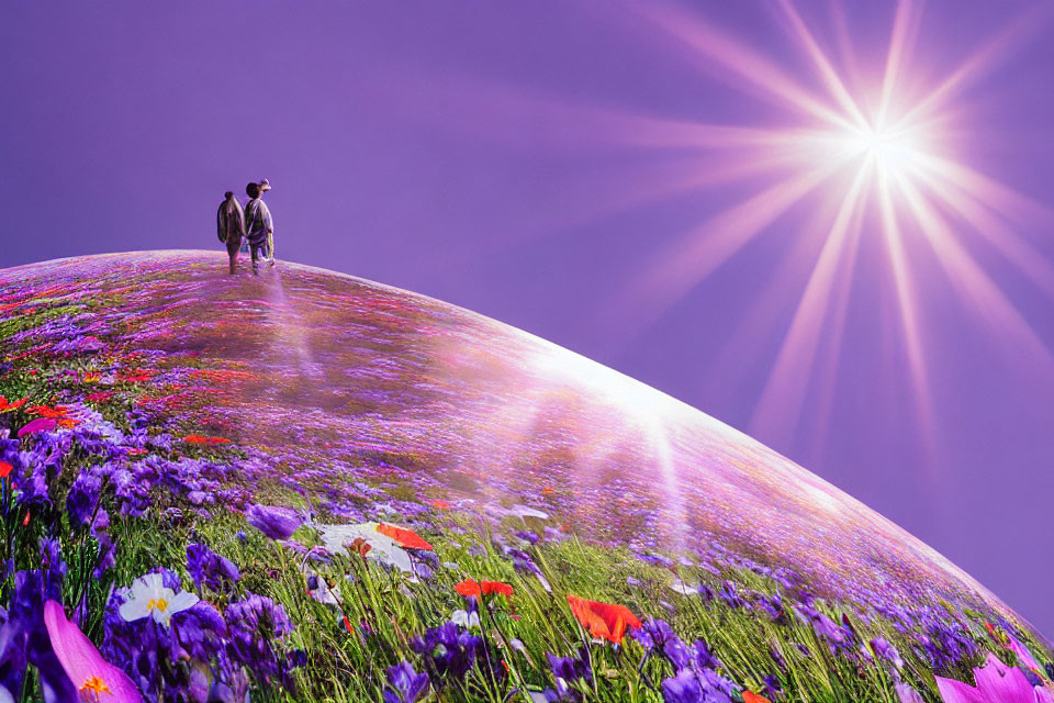 Couple walking on flower-covered hill under bright sun