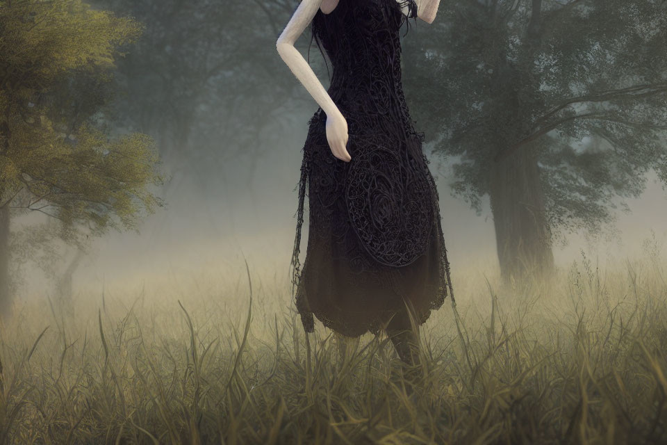 Mysterious headless figure in black lace dress disappears at waist in foggy field