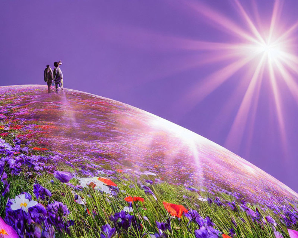 Couple walking on flower-covered hill under bright sun