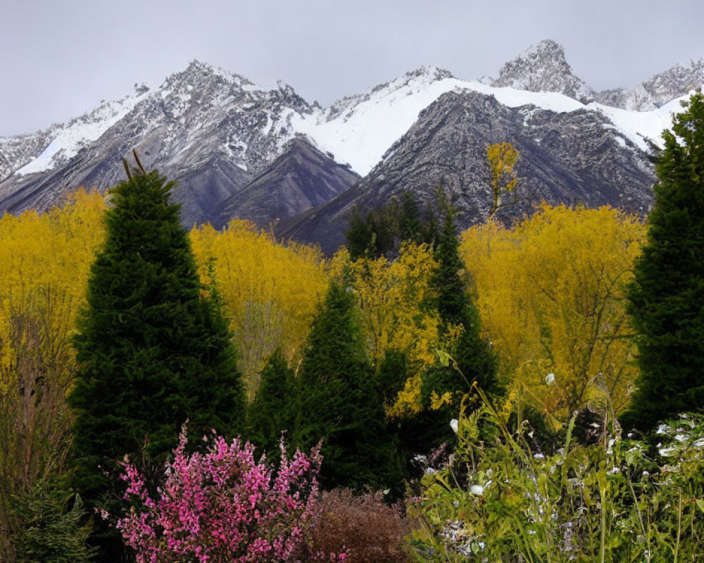 Scenic autumn landscape with snow-capped mountains