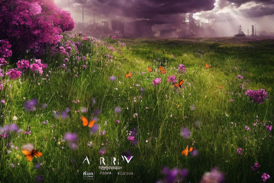 Purple flowers and butterflies under stormy sky with distant factories.