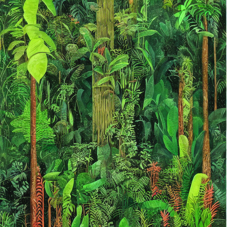 Lush green plants in dense tropical rainforest