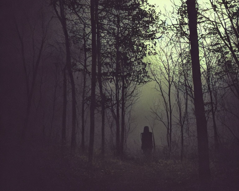 Mysterious figure in foggy forest surrounded by bare trees