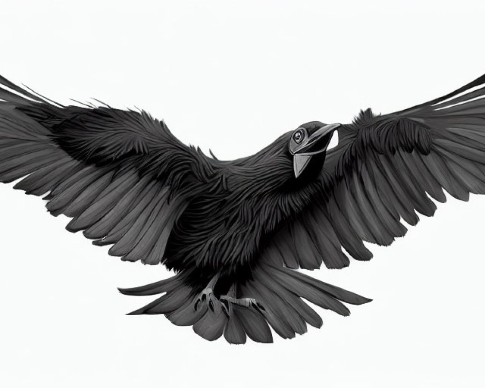 Detailed digital illustration of black bird in flight with spread wings on white background