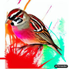 Colorful Abstract Bird Illustration with Red, Green, and Blue Tones