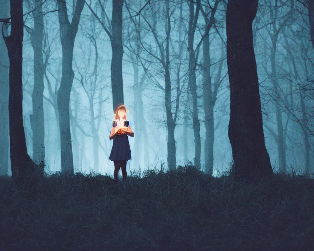 Person holding a lit lantern in misty forest at twilight