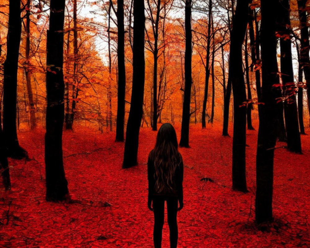 Vibrant autumn forest scene with person silhouette