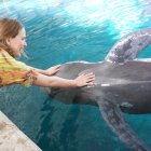 Young girl interacts with octopus-tentacled whale in surreal aquatic scene