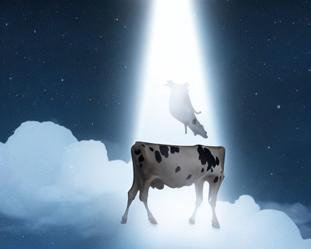 Unusual scene: UFO abducting cow under starry sky