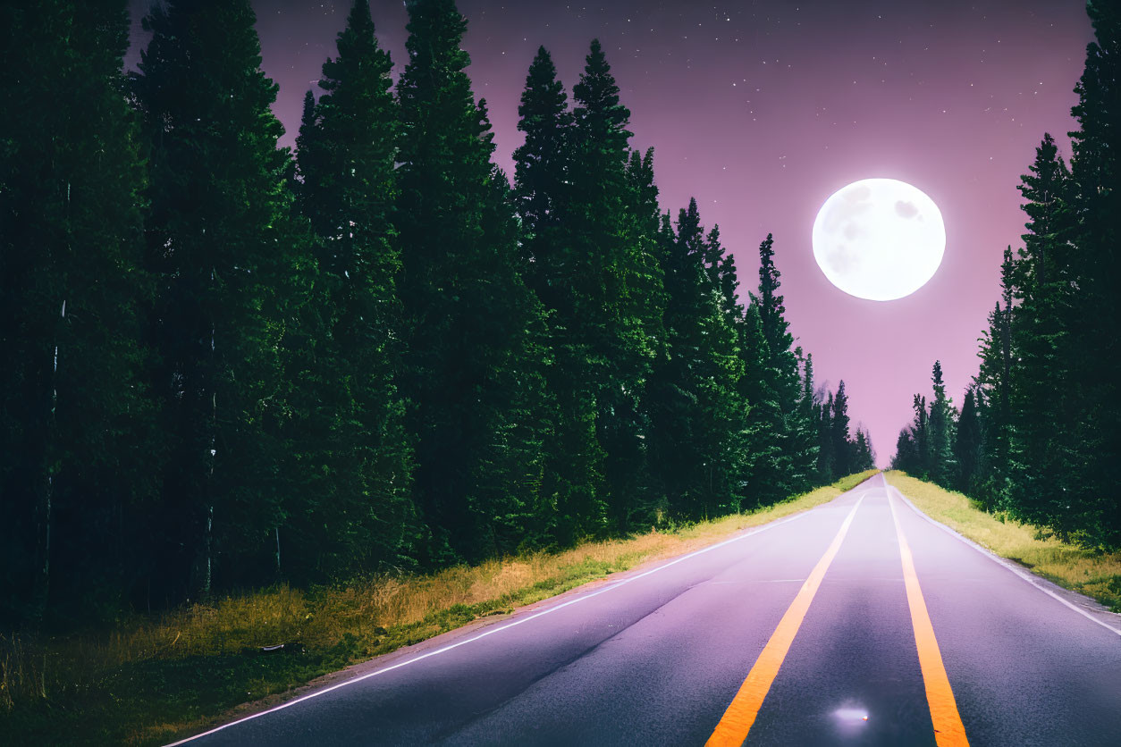 Full Moon Night Scene: Deserted Road, Evergreen Trees, Starry Sky