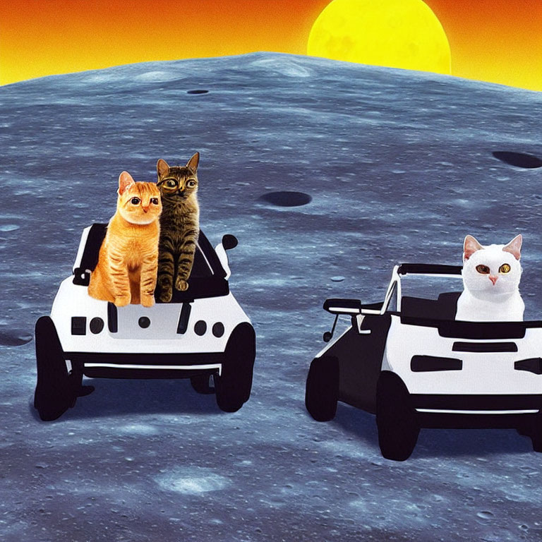 Three Cats on Lunar Landscape with Rover Vehicle and Earth's Sun