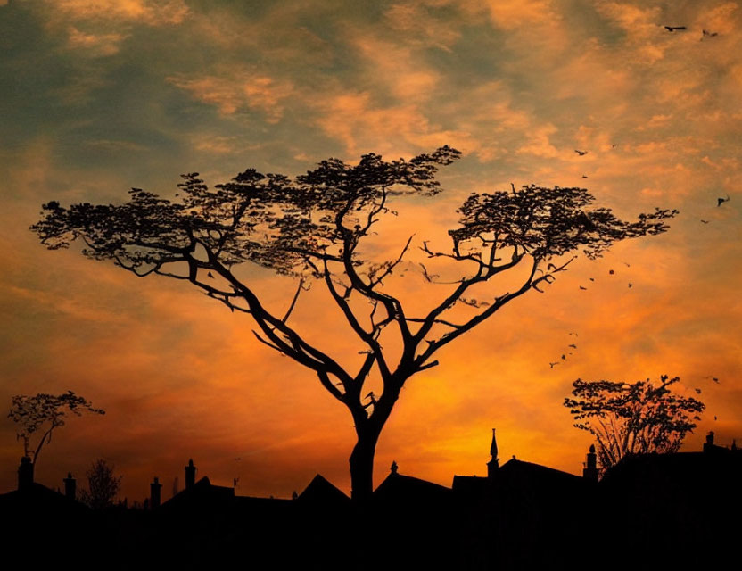 Solitary tree silhouette against orange dusk sky with birds and buildings.
