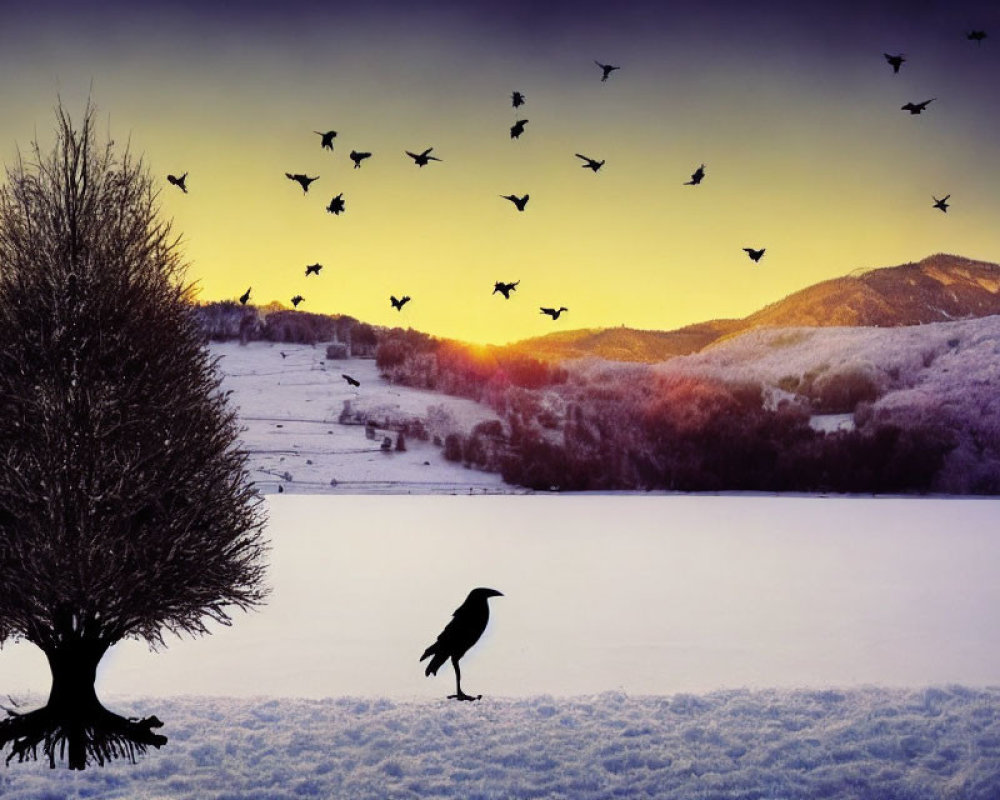 Bird standing on snow near leafless tree with flock flying in twilight sky above snow-covered hills.
