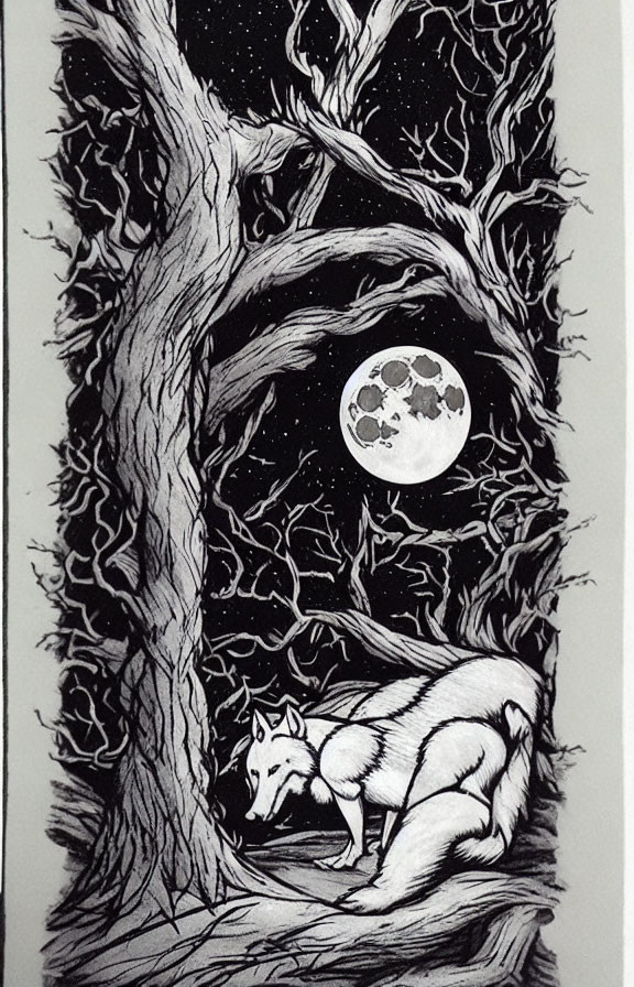 Monochromatic wolf resting under gnarly tree with full moon
