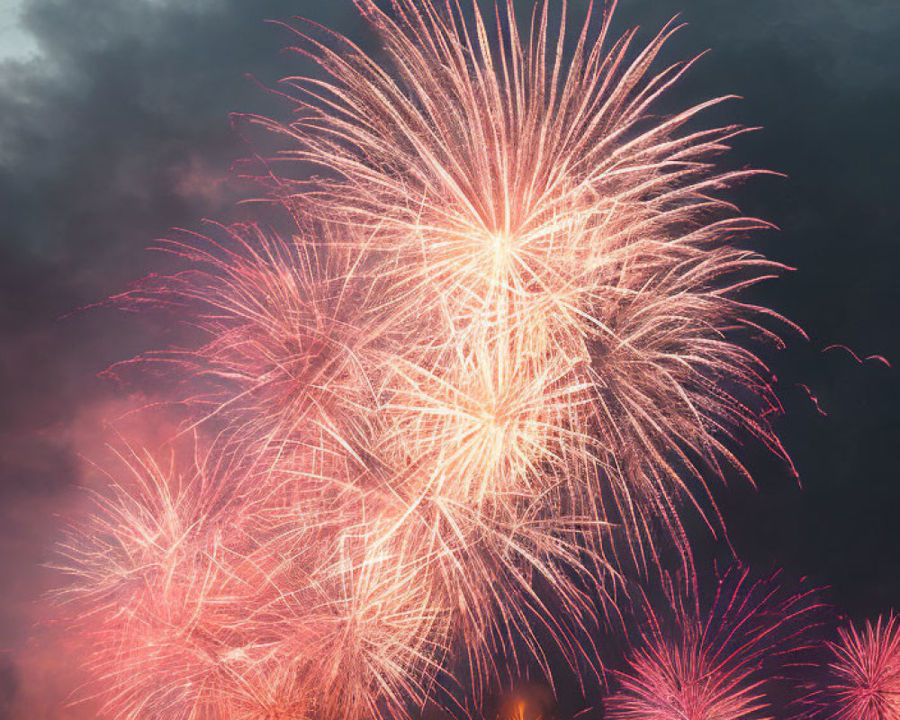 Colorful pink and white fireworks show in night sky with crowd and fire