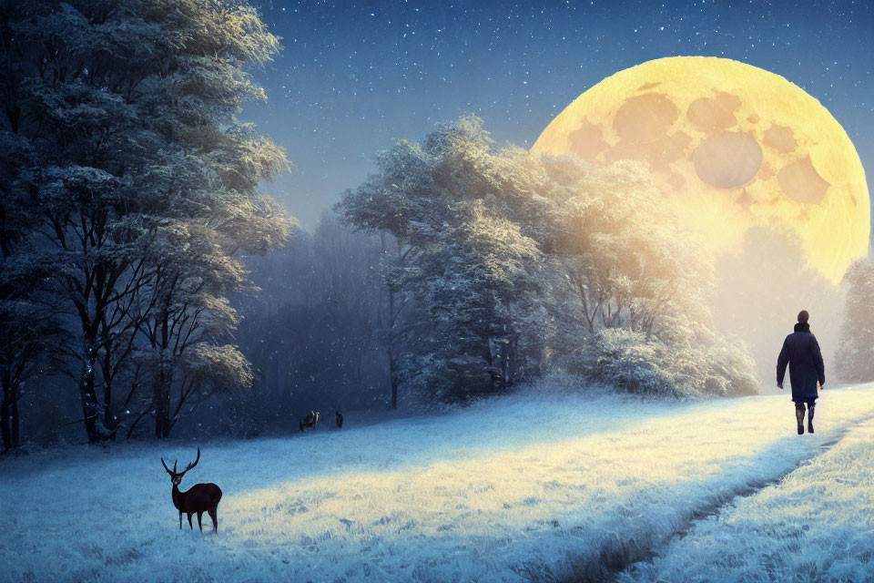 Person and deer in snowy forest with full moon.