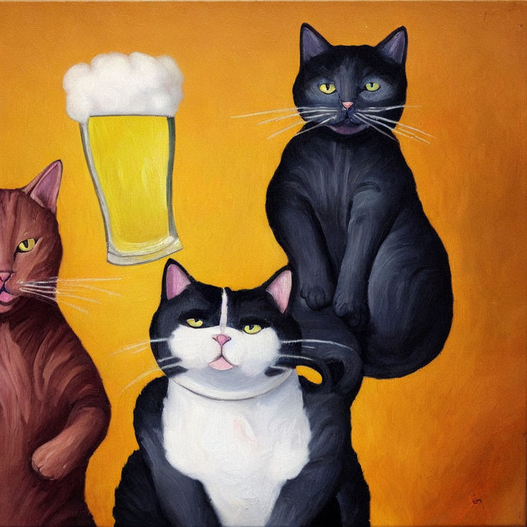 Three cats with human-like expressions next to a floating pint of beer on orange backdrop