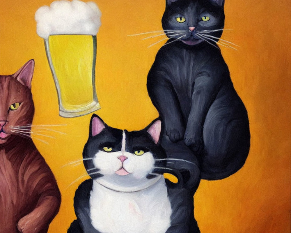 Three cats with human-like expressions next to a floating pint of beer on orange backdrop