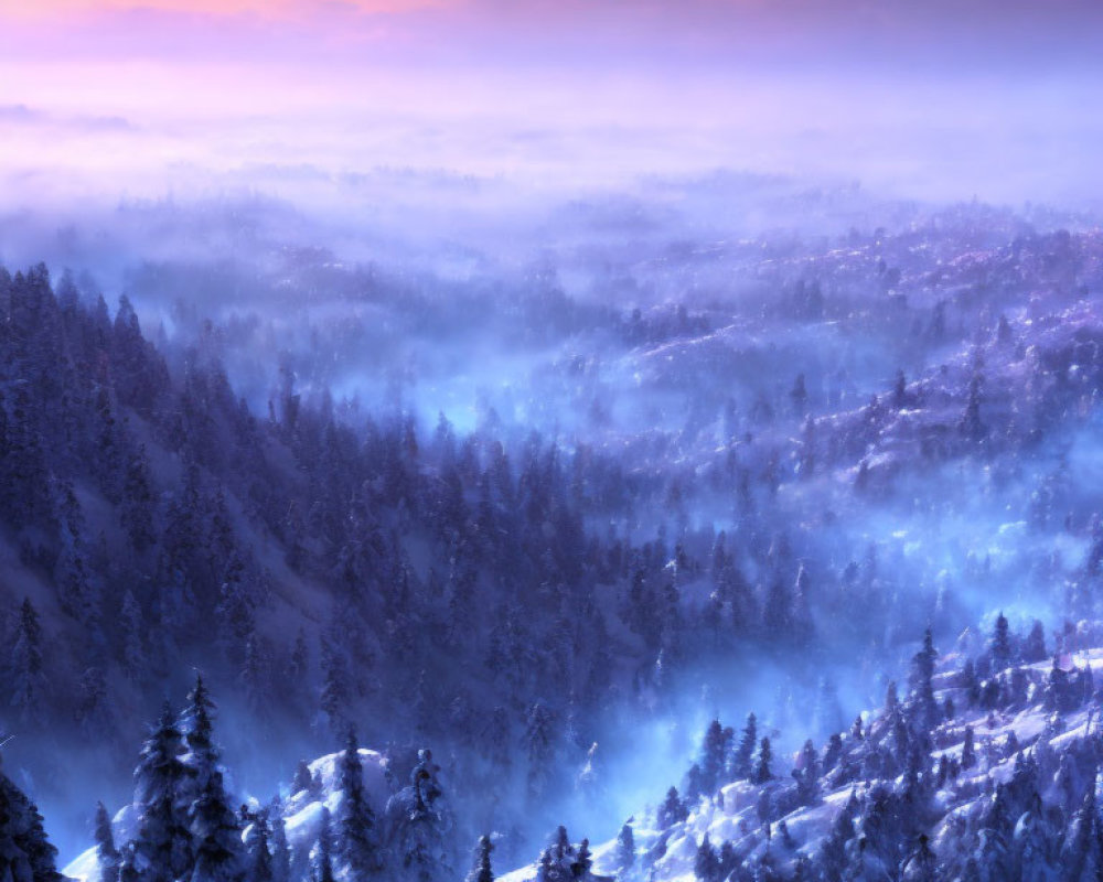 Snow-covered pine trees in serene winter landscape at dawn or dusk.