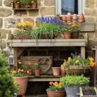 Stone wall with potted flowers, window shutters, and wooden shelf with plants