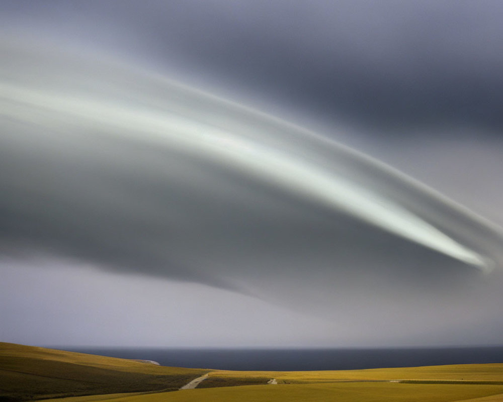 Golden field under dramatic sky with dominant lenticular cloud