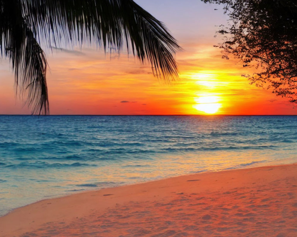 Tranquil Beach Sunset with Orange Sky and Palm Silhouette