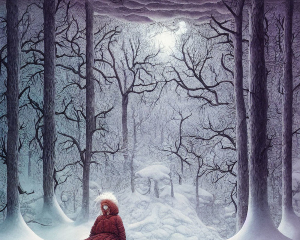 Person in red coat sitting in moonlit snowy forest