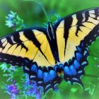 Colorful Butterfly Illustration with Yellow and Blue Wings and Purple Flower