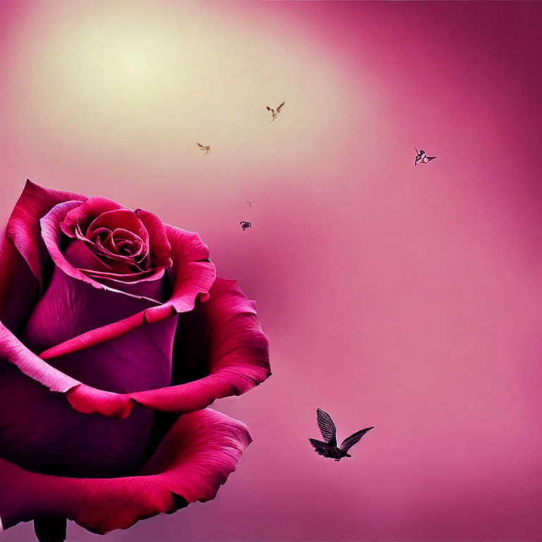 Pink rose on gradient background with birds and butterfly for a serene atmosphere