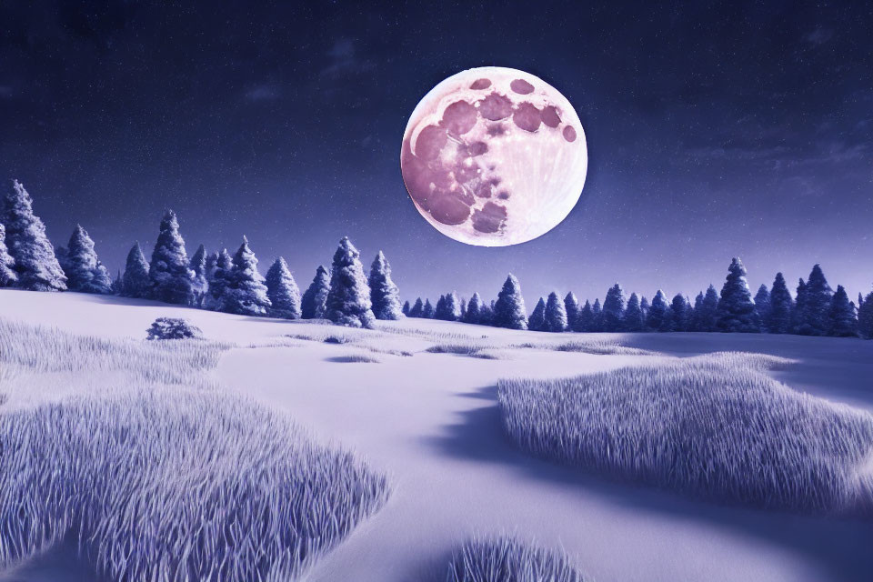 Pink Moon Shining on Snowy Landscape with Evergreen Trees