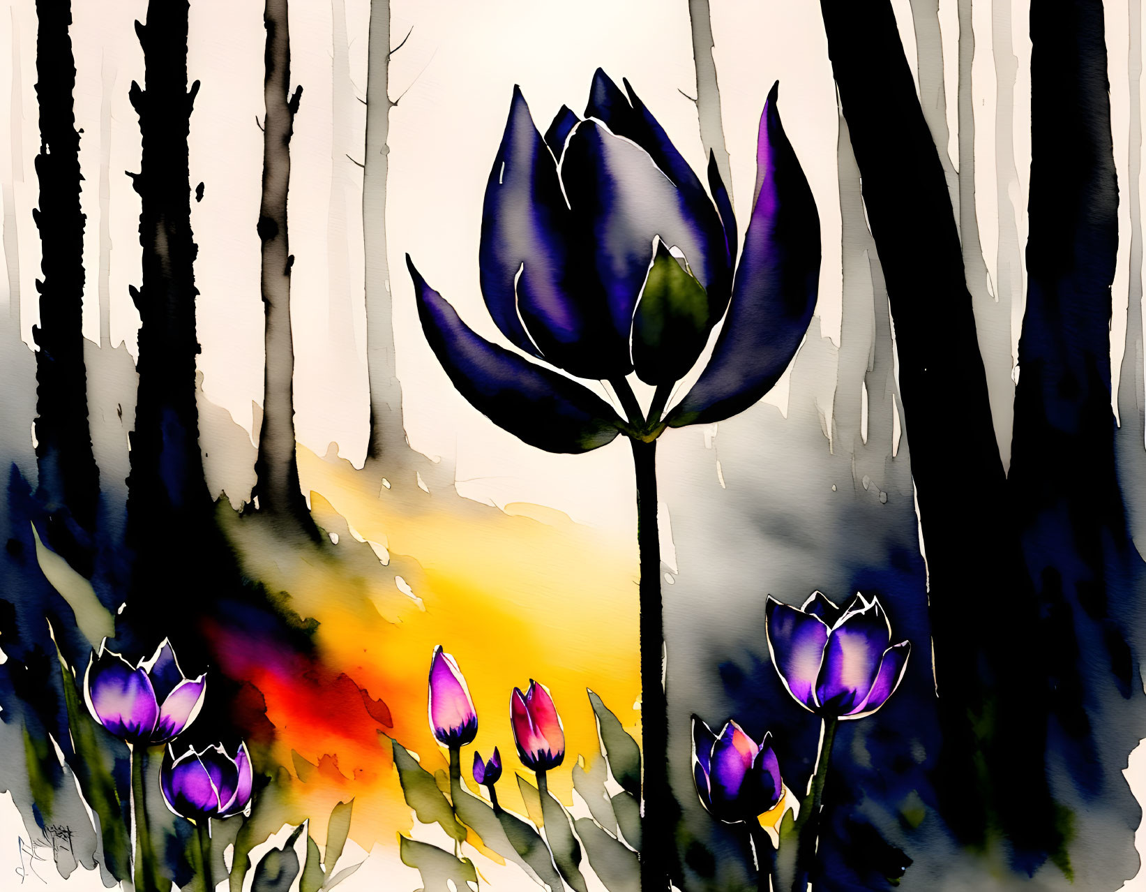 Black tulip II