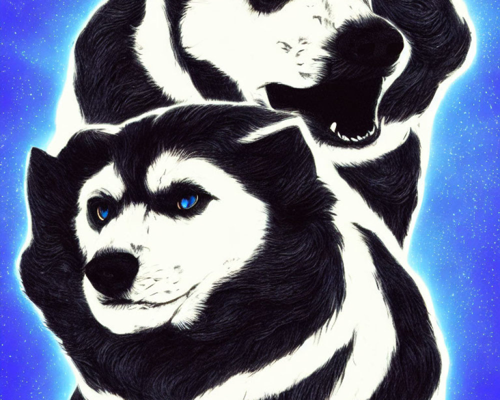 Illustrated Siberian Huskies with blue eyes on starry night sky background