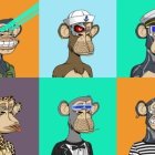 Stylized monkey images in different outfits and accessories on colorful backdrops